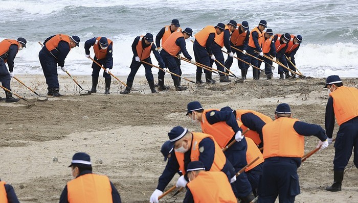 日本,地震,南海海槽,海啸