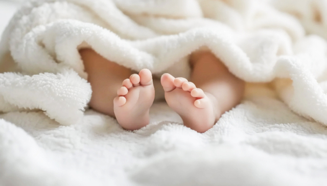 东北两省去年人口变化趋同：常住人口减少，出生人口增加