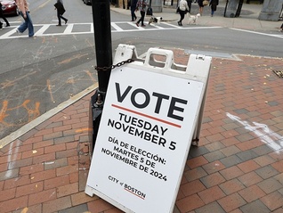 想改变美国各州选举规则，特朗普被19州告了