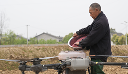 中共中央、国务院发文，推动种业自主创新全面突破、拓宽农民增收渠道