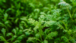 年轻人爱上“打野”：有人卖“神器”月入数万，有商家生意增长300%