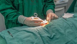 地方新聞精選 | 安徽首例“戒酒芯片”植入手術(shù)完成 官方通報(bào)男子用彈弓打死西湖鴛鴦