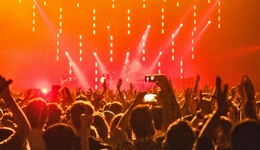 黄牛2.0，比粉丝更疯狂