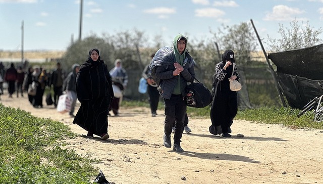 加沙,以色列,哈马斯,法国,巴勒斯坦