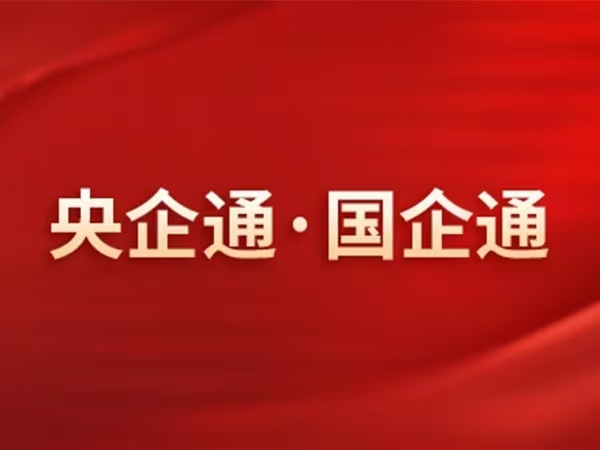诚通证券创新服务 助力国资高质量发展