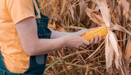 直通部委 | 多部門關愛幫扶農(nóng)村留守婦女 全國家電以舊換新突破1億臺