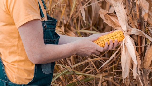 直通部委 | 多部门关爱帮扶农村留守妇女 全国家电以旧换新突破1亿台