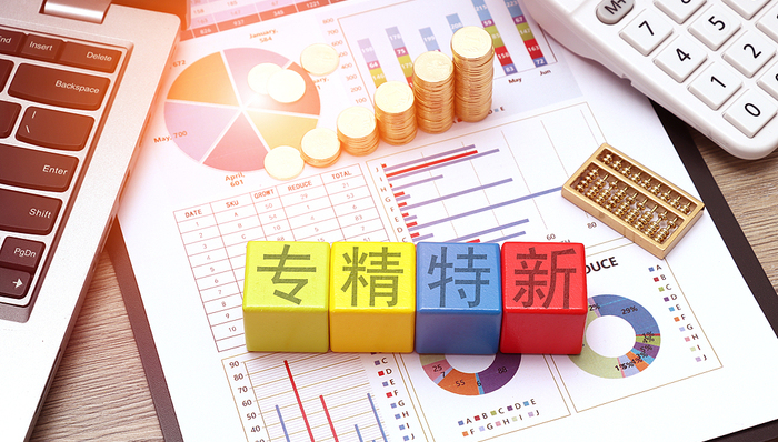 上海,专精特新