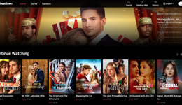 海外版“紅果”，誰(shuí)能搶先摘下？