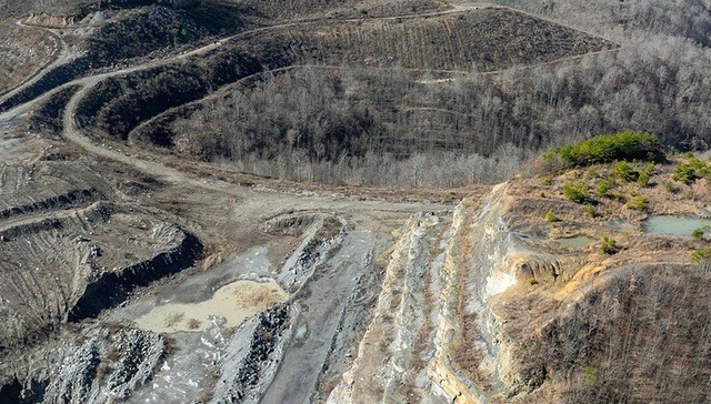 关键矿产,进口,调查