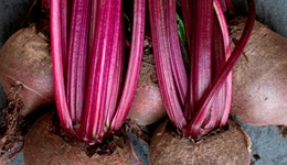 红菜头正在成为“中产通行证”