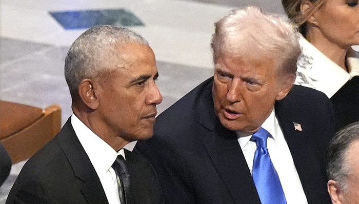 奥巴马,特朗普,民主党,哈佛大学,中期选举