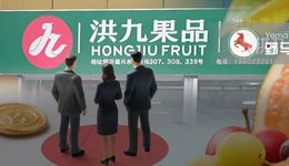 洪九果品6高管被“一锅端”，背后哪些股东踩雷？