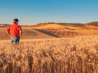 关税政策叠加极端天气，美国农民破产风险陡增