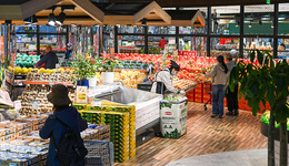 一季度“國(guó)家賬本”有三大看點(diǎn)，財(cái)政政策或需進(jìn)一步寬松