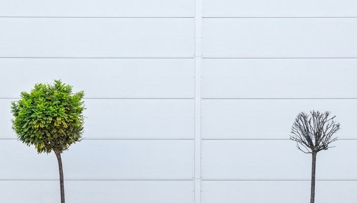 纪念是给无法安息的死者的礼物｜一周新书推荐