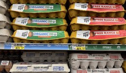 超1230人签名，美国“反关税宣言”警告自残式衰退