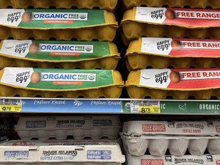 超1230人签名，美国“反关税宣言”警告自残式衰退