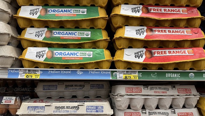 关税,宣言,特朗普