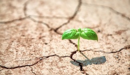 广西52个县区40.5万人因干旱受灾，4月下旬降雨有增多趋势