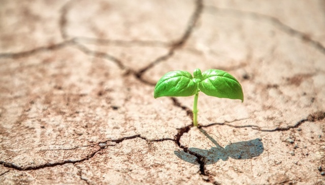 广西52个县区40.5万人因干旱受灾，4月下旬降雨有增多趋势