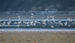 地方新聞精選 | 鄱陽湖水位止跌回漲突破9米 “網(wǎng)絡(luò)水軍”刷單2000萬余條被抓