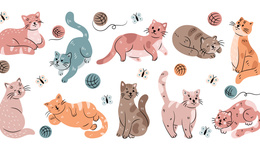 做貓，是反思社會(huì)的一種方式｜一周新書推薦