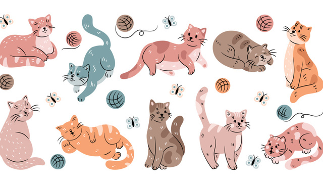 做猫，是反思社会的一种方式｜一周新书推荐