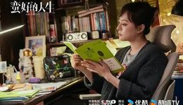 《蛮好的人生》招商领跑，爱优腾Q2剧集战持续升温