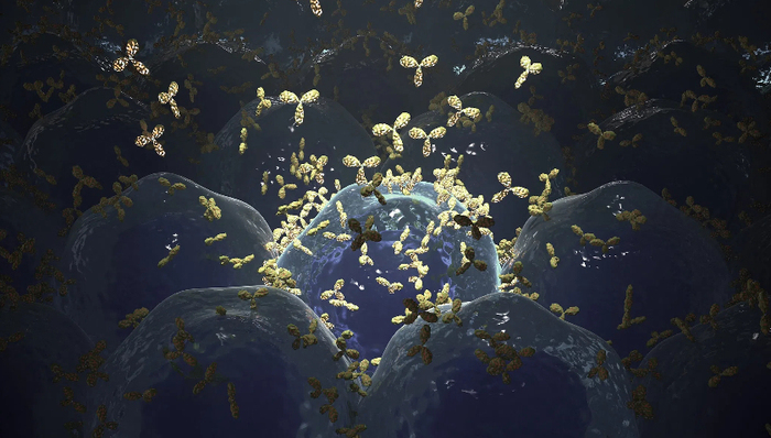 康方生物明星双抗更新数据带崩合作方股价，如何解读？