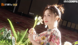 陈德容争议背后的结构性困境