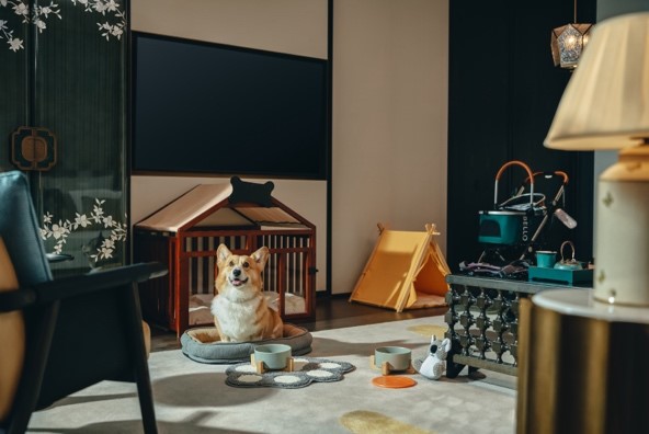 林栖庭院宠物房