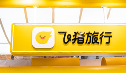 一码难求的飞猪问一问，依旧半吊子