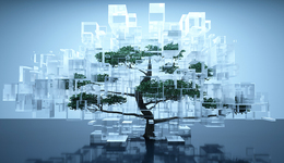 集合全国三分之一的AI人才，上海凭什么？