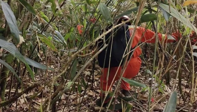 地方新闻精选 | 福建8岁男童爬山失踪已3天 一架无人机穿越大理三塔时“炸机”