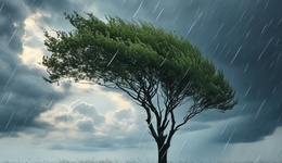 地方新聞精選 | 湖南大風(fēng)暴雨致6戶房屋倒塌100多戶受損 海南明確極端天氣停課標(biāo)準(zhǔn)