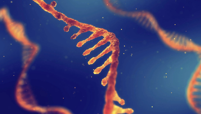 小核酸公司瑞博生物赴港IPO，两年亏超7亿