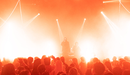 演员明星涌入，音乐节变味了？