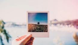 第一批炒撕拉片的年轻人，已经赚到钱了