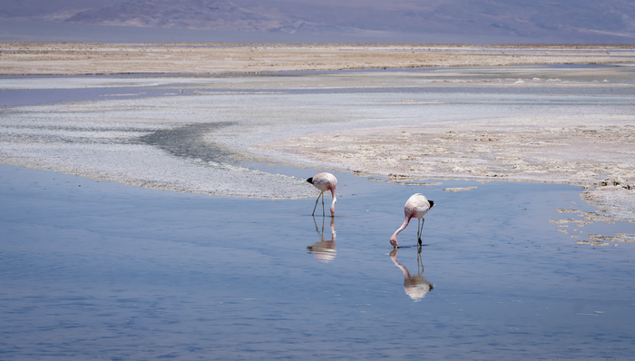 拟投资9亿美元，力拓与智利国家铜业将合作开发锂矿