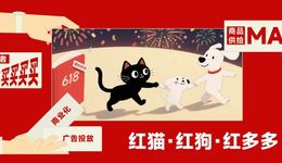 “紅貓計劃”官宣14天，一場大型的動態(tài)實驗