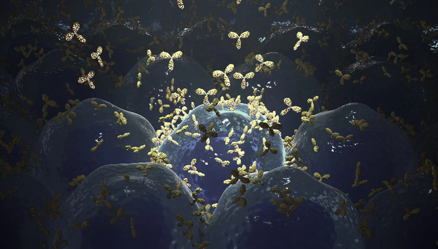 迈威生物回应三款产品上市为何还年亏10亿