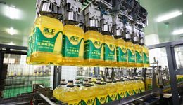 3年亏10亿，“玉米油第一股”怎么了？