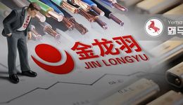 百亿金龙羽涉嫌信披违规，新董秘上任才8天