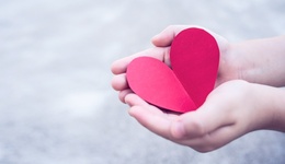 【評(píng)論】網(wǎng)絡(luò)反腐“誤傷”慈善事業(yè)，信息公開才是應(yīng)對(duì)之道