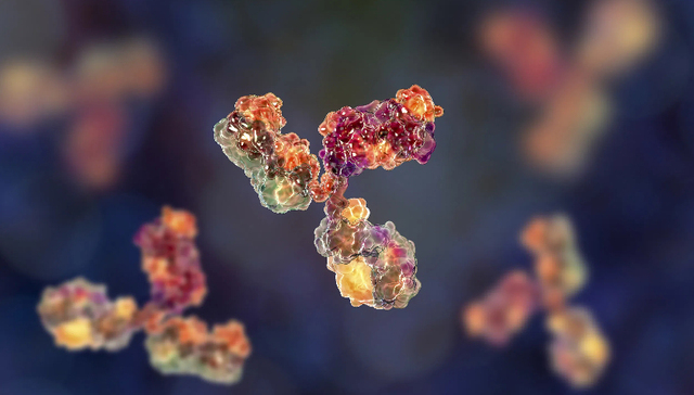 押注生物类似药的百奥泰收获一喜一忧