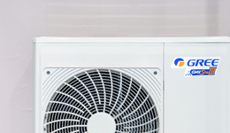 董明珠携“旧爱”再打线上突围战