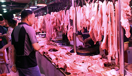 猪价跌至年内低点，分析师：偏弱运行态势或将持续