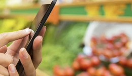 闯关IPO，朴朴超市面临“围城”难题