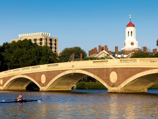 哈佛大学国际生遭遇“禁招令”，全球多所高校抛出橄榄枝